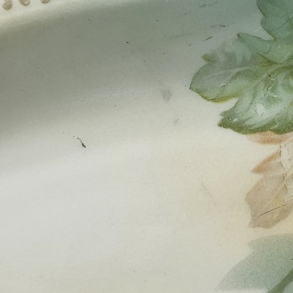 Vintage RS Tillowitz Silesia Hand Painted Butter Celery Dish White Magnolia - Picture 15 of 15